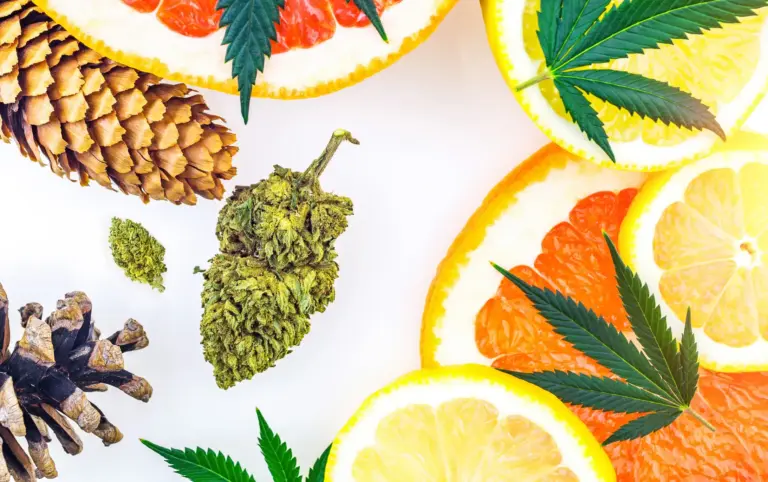 BeWell Organic Medicine Blog Cannabinoids and Terpenes