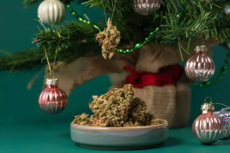 BeWell Organic Medicine Blog Green Wednesday Cannabis Deals & Black Friday Discounts at BeWell