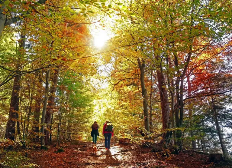 BeWell Organic Medicine Blog Quick Escapes: 7 of the Best Fall Hikes Near Merrimac