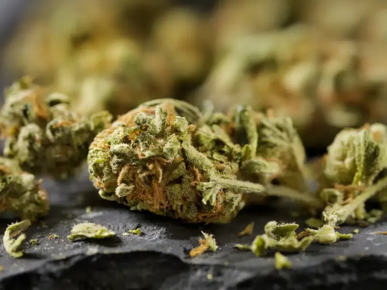 BeWell Organic Medicine Blog Top 12 Highest % THC Weed Strains