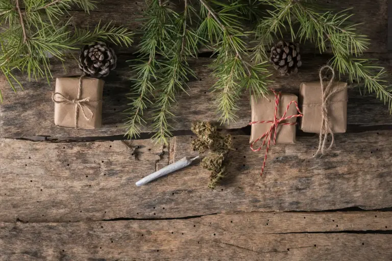 BeWell Organic Medicine Blog Cannabis Gift Guide To The Holidays